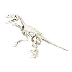 Clementoni Archeospel Velociraptor