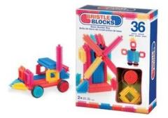 Bristle Blocks Box met 36 Stuks