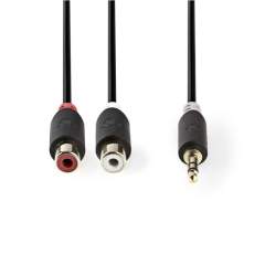 Nedis CABW22250AT02 Stereo Audiokabel 3.5 Mm Male - 2x Rca Female 0.2 M Antraciet
