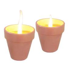 Citronellakaarsen in Terracotta Potje 6.5 cm 3 Stuks