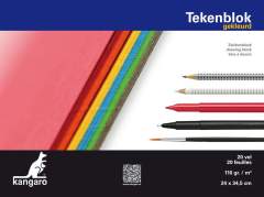 Kangaro K-5588 Tekenblok A4+ (24x34.5cm) 110 Gram 20 Vel Assorti