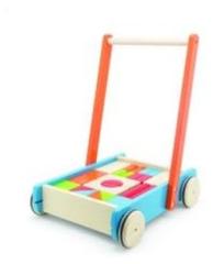 Pintoy Baby Walker Duwwagen met Blokken